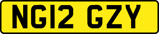 NG12GZY