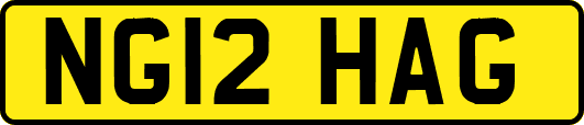 NG12HAG