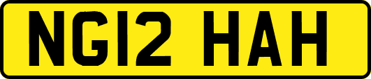 NG12HAH
