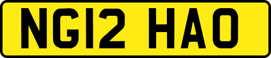 NG12HAO