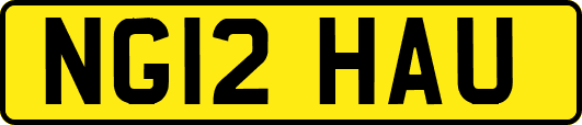 NG12HAU