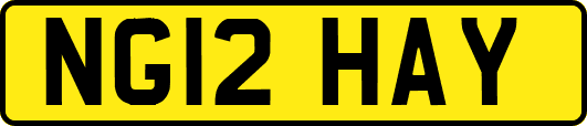 NG12HAY