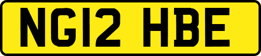 NG12HBE