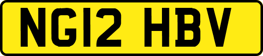 NG12HBV