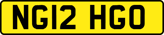 NG12HGO