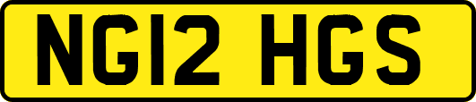 NG12HGS