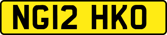 NG12HKO