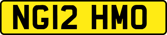 NG12HMO