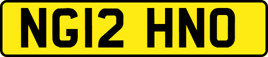 NG12HNO