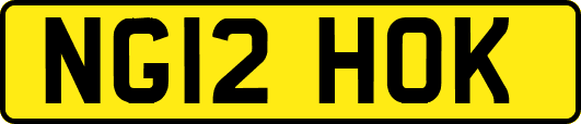 NG12HOK