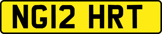 NG12HRT