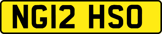 NG12HSO