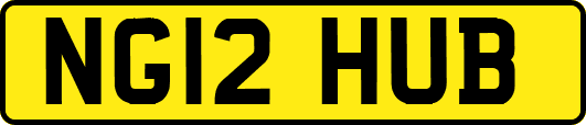 NG12HUB