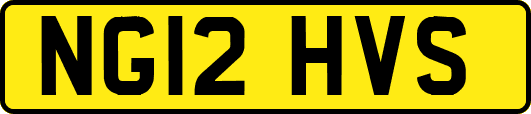 NG12HVS