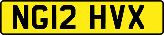 NG12HVX