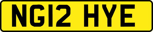 NG12HYE