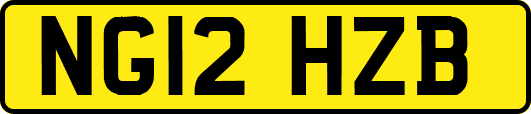 NG12HZB
