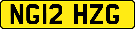 NG12HZG