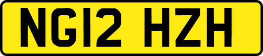 NG12HZH