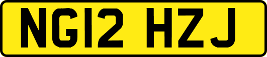 NG12HZJ