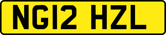NG12HZL