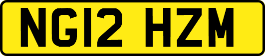 NG12HZM