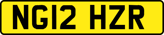 NG12HZR