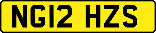 NG12HZS