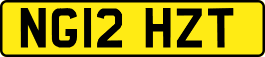 NG12HZT