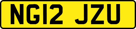 NG12JZU