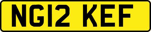 NG12KEF
