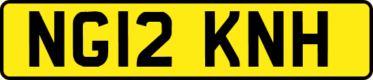 NG12KNH