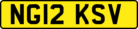 NG12KSV