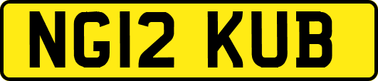 NG12KUB