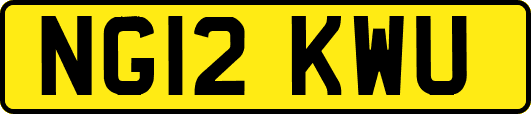 NG12KWU