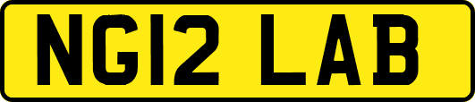 NG12LAB