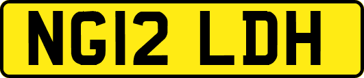 NG12LDH