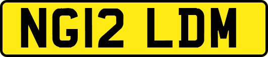 NG12LDM
