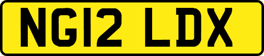 NG12LDX