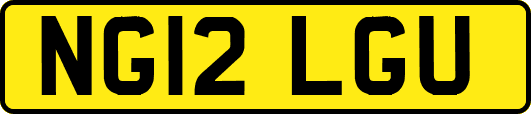 NG12LGU