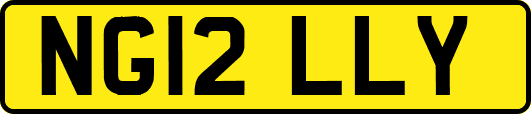 NG12LLY