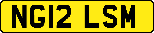 NG12LSM
