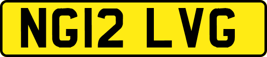 NG12LVG