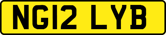 NG12LYB