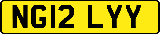 NG12LYY