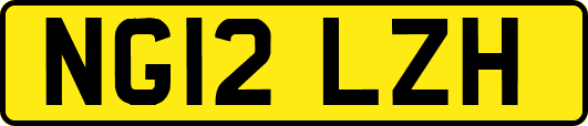 NG12LZH