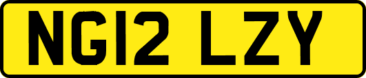 NG12LZY