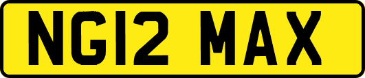 NG12MAX