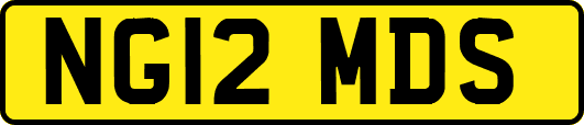 NG12MDS