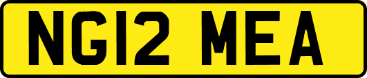 NG12MEA